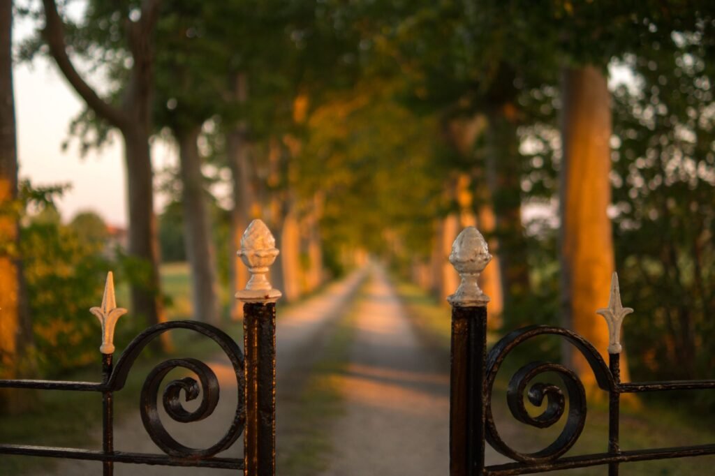 An open iron gate on a path lit by golden morning light